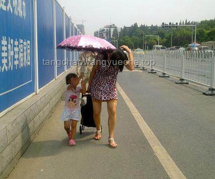 伟大母爱行动：雨中撑伞的感人瞬间
